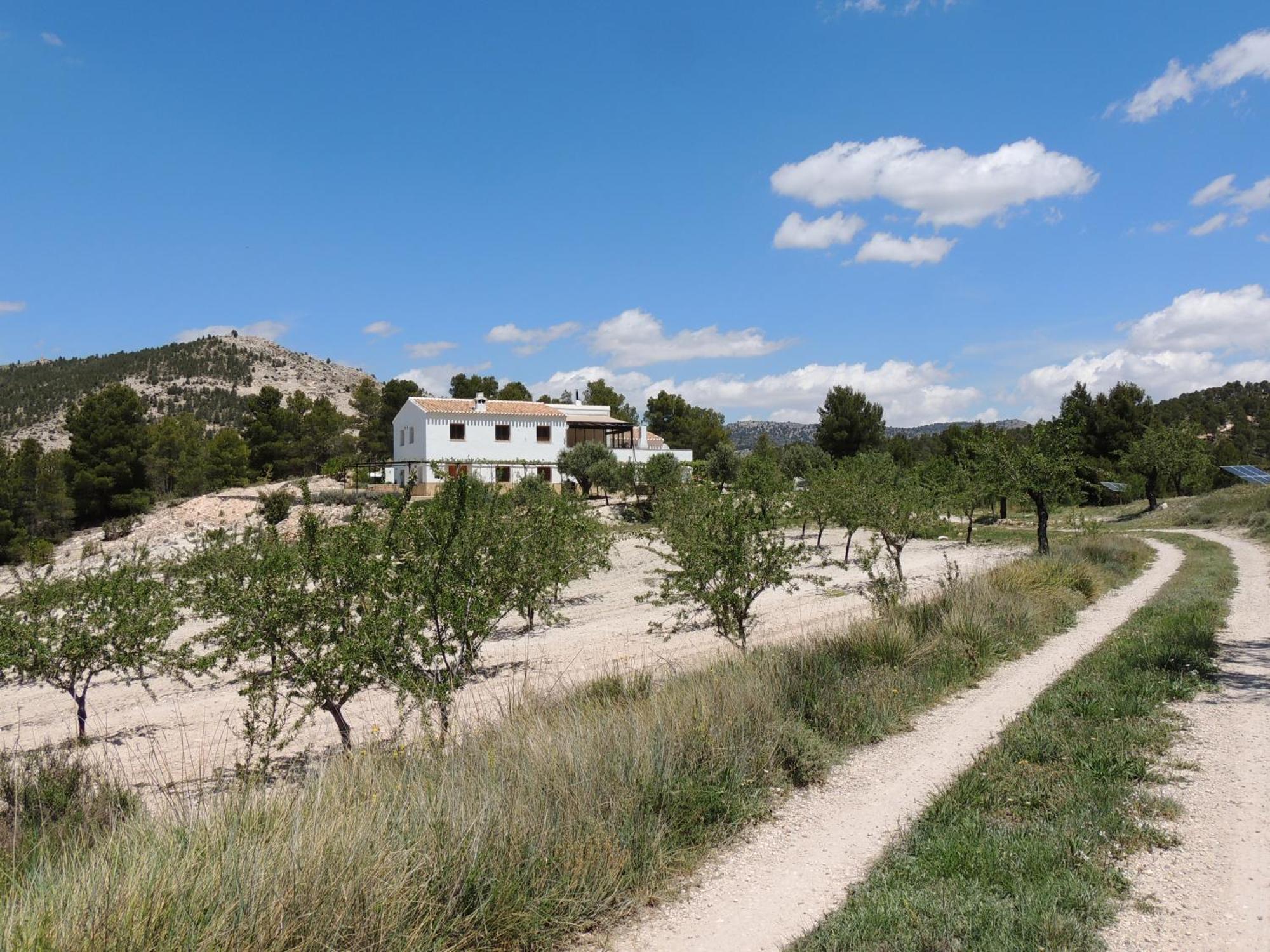 Apartamento Cortijo Blanco Vélez Blanco Exterior foto